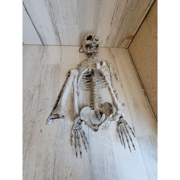 Skeleton AS IS jointed hanging Halloween home decor prop scary - Picture 1 of 15